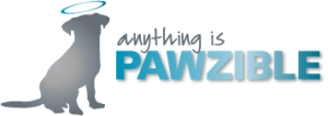 Anything Is Pawzible: Expert Dog Training in Chicago